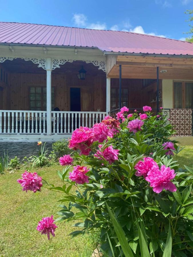 Guest House Lailashi Surmushi Exterior photo