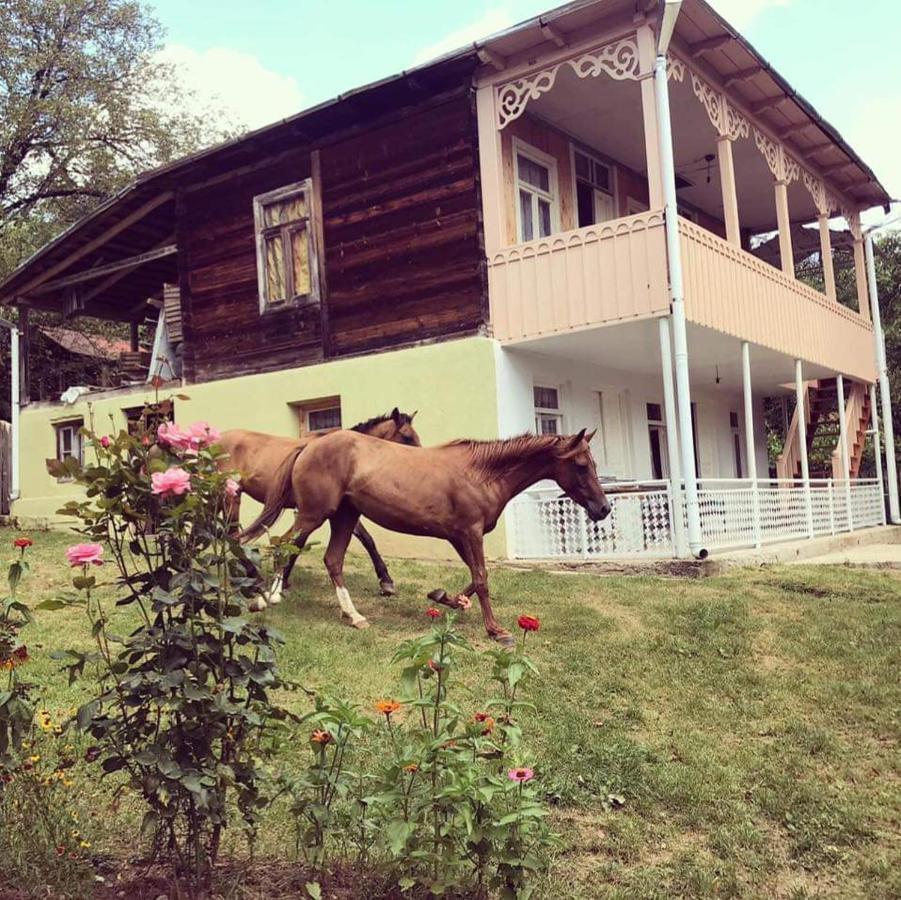 Guest House Lailashi Surmushi Exterior photo